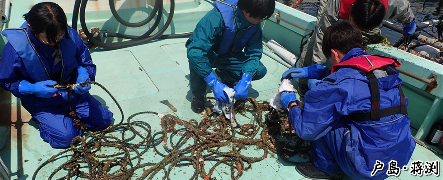 沿岸の環境圏 Marine coastal environm